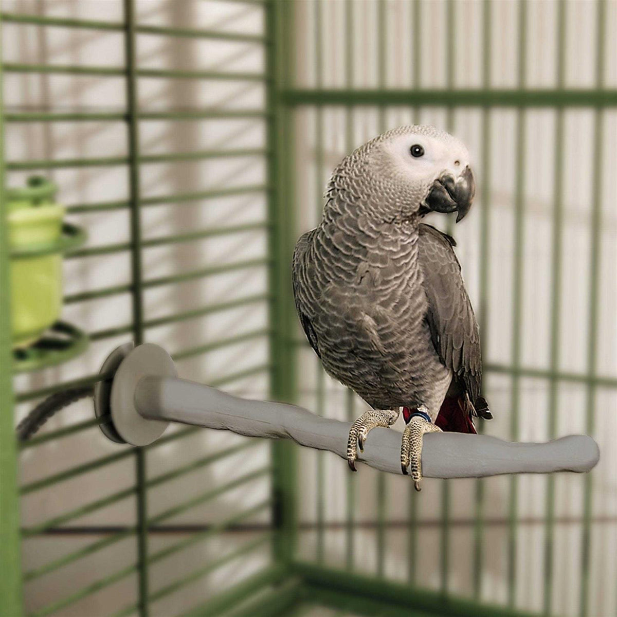 Bird Thermo-Perch Z2436