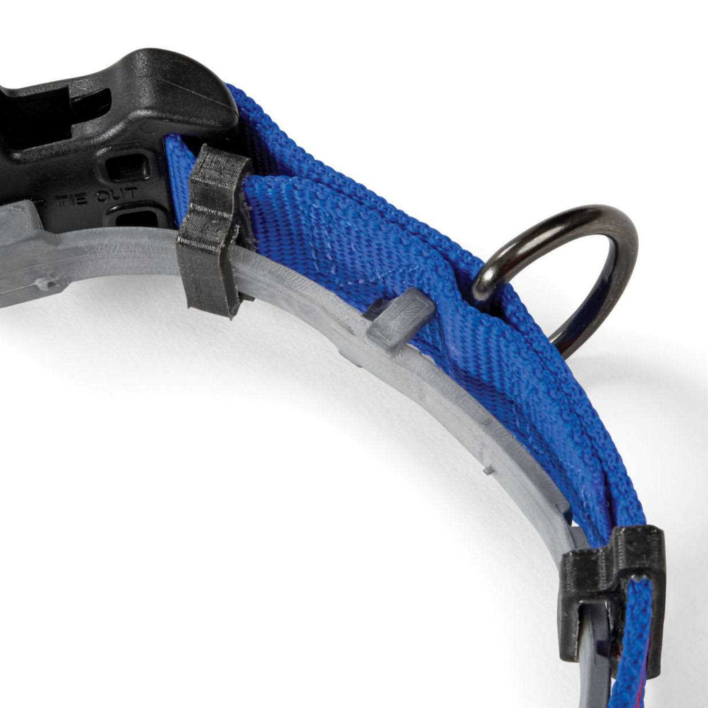 Personalized Flea and Tick Collar V97642