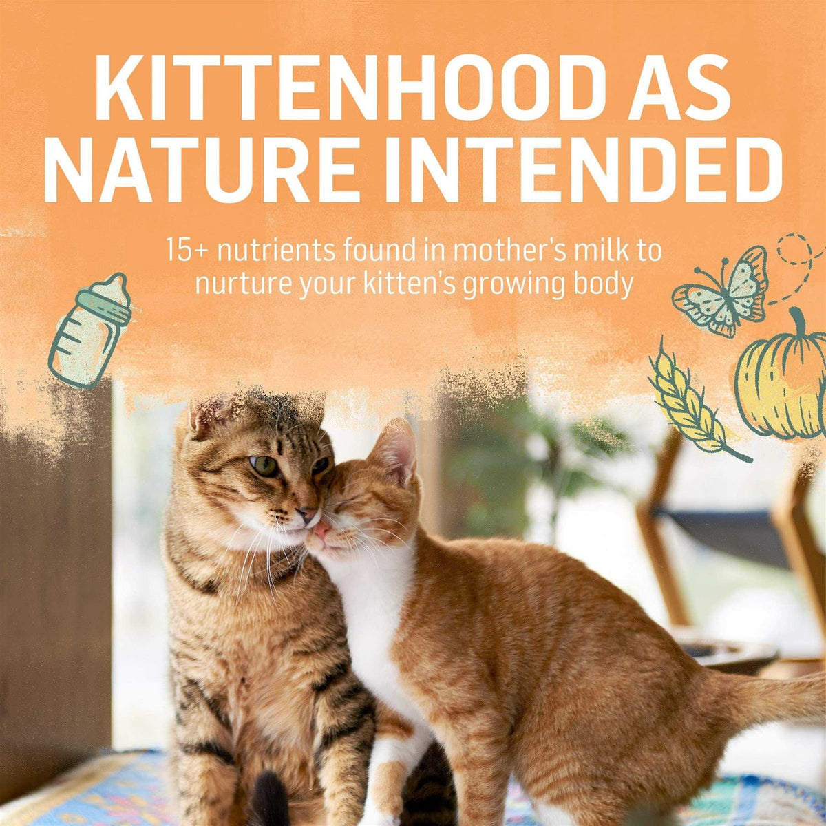 Natural Kitten Food Chicken & Oatmeal X8073