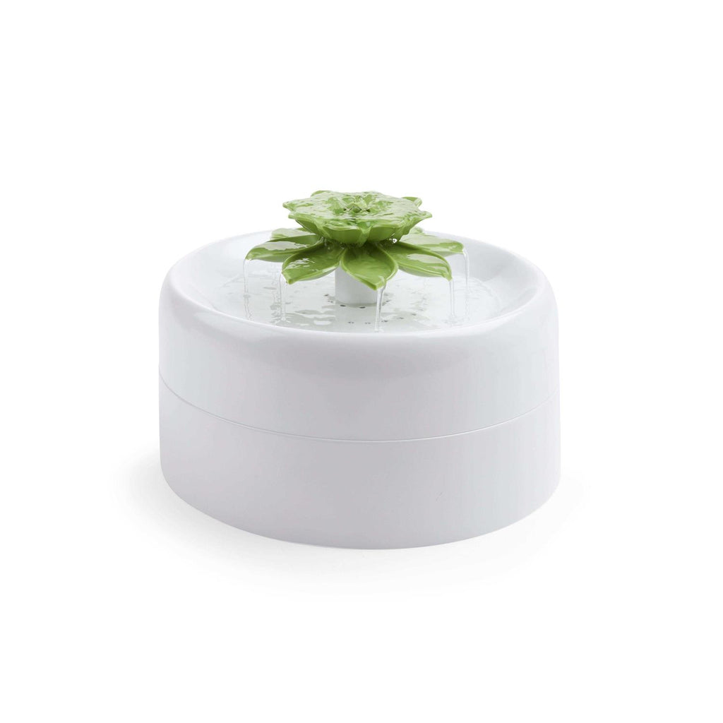 Succulent Water Fountain F7593