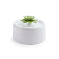 Succulent Water Fountain F7593