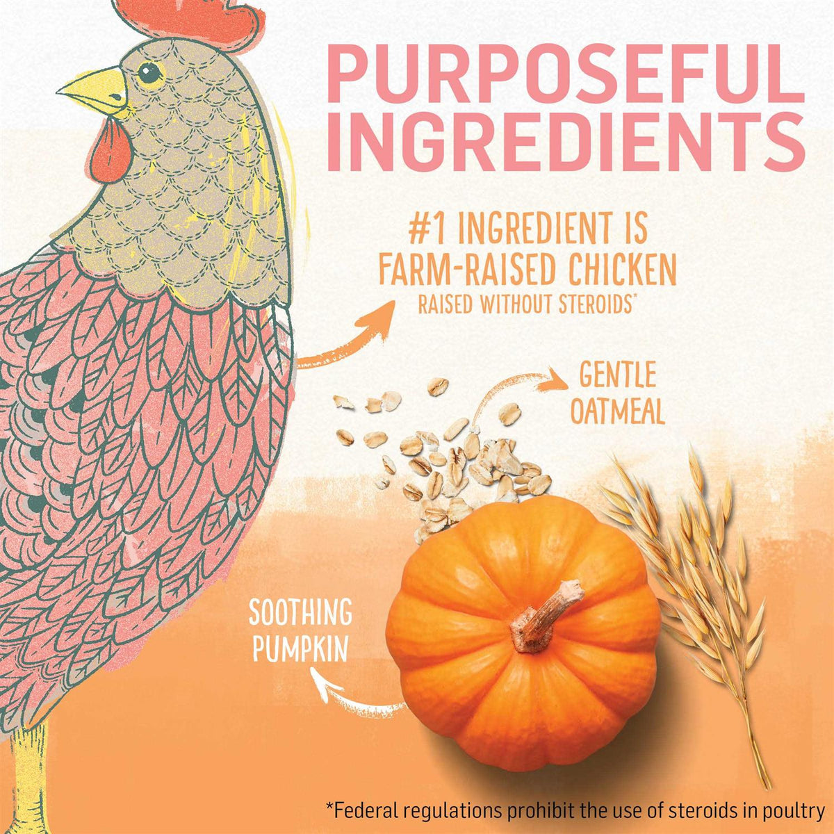 Natural Kitten Food Chicken & Oatmeal X8073