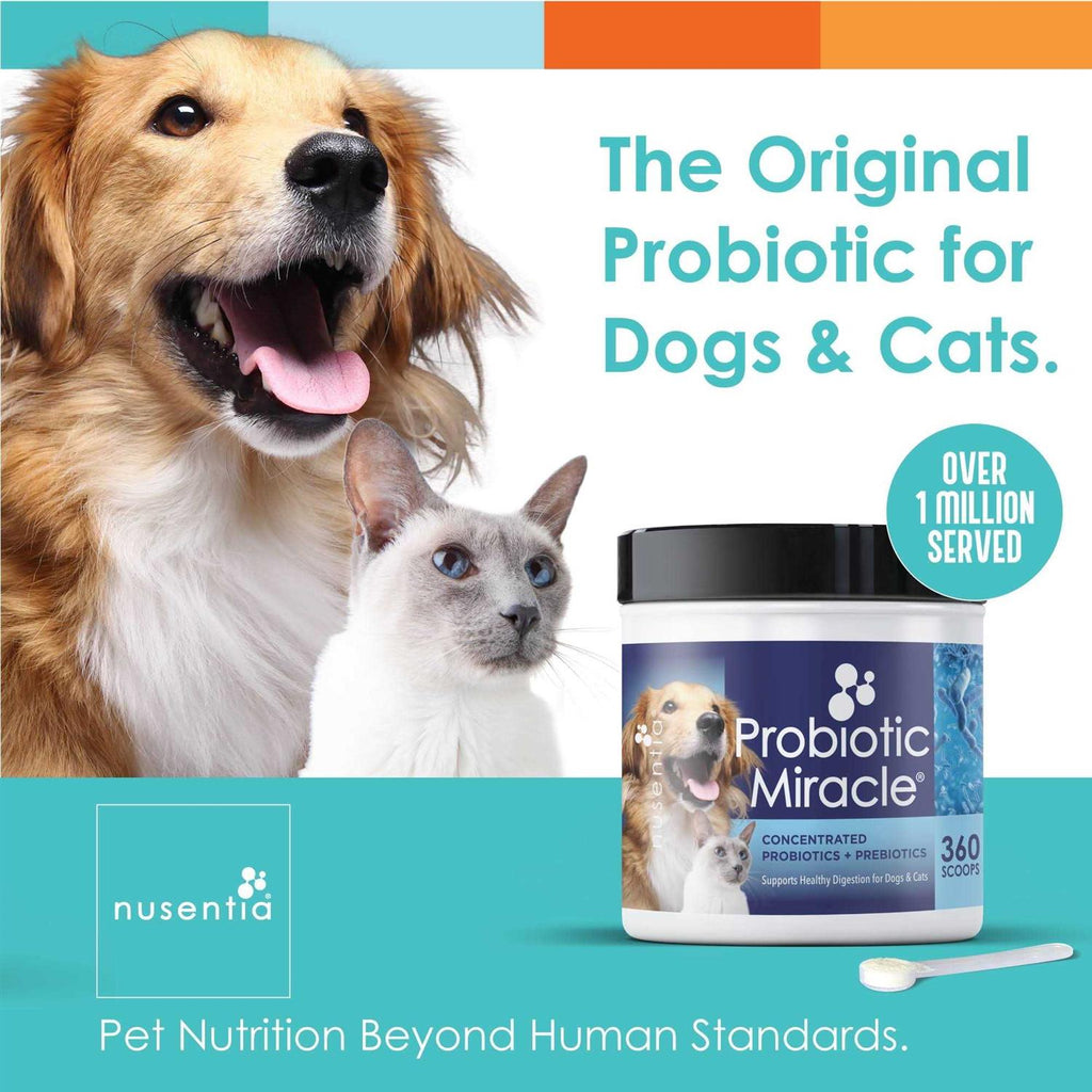 Probiotics for Dogs I365031