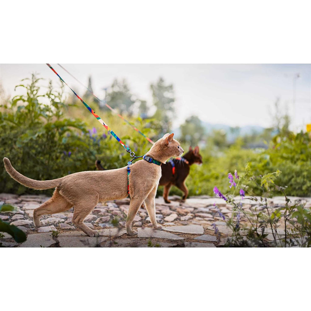 Cat Harness and Leash Set Adjustable O77101