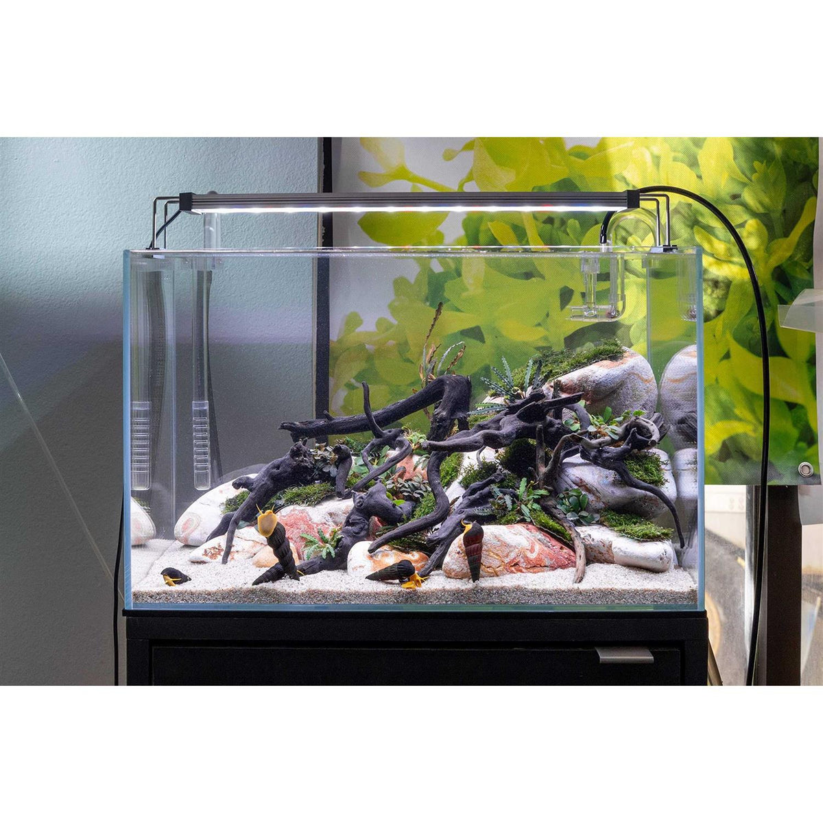 Green Water Labs O9130