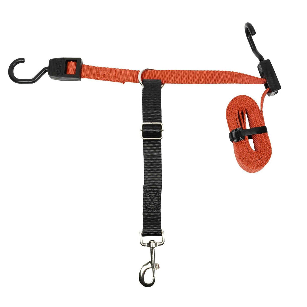 Dog Zipline J591823