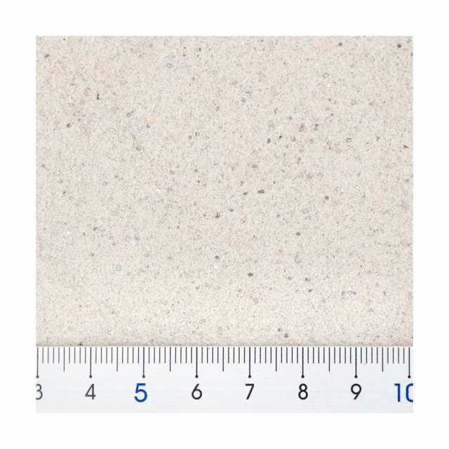 Calcium Plus N88115