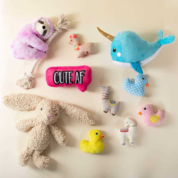 Pet Toy Set T503490