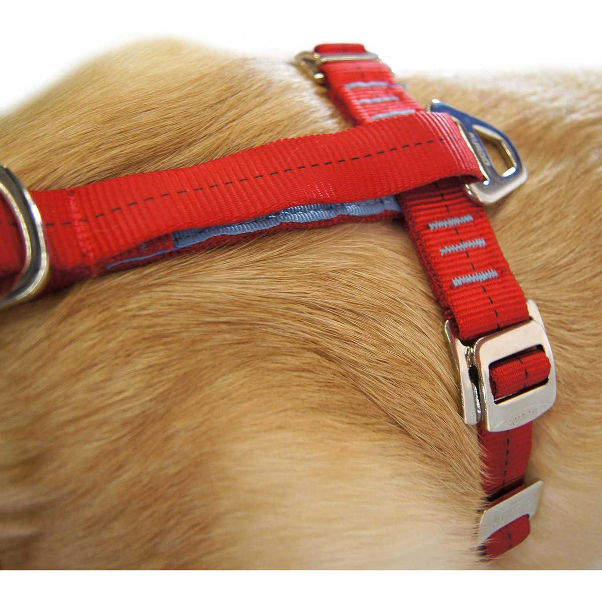 Dog Harness X628740