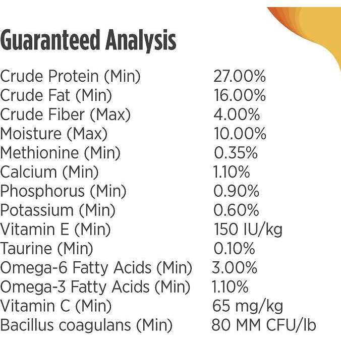 Turkey Dry Dog Food P3877