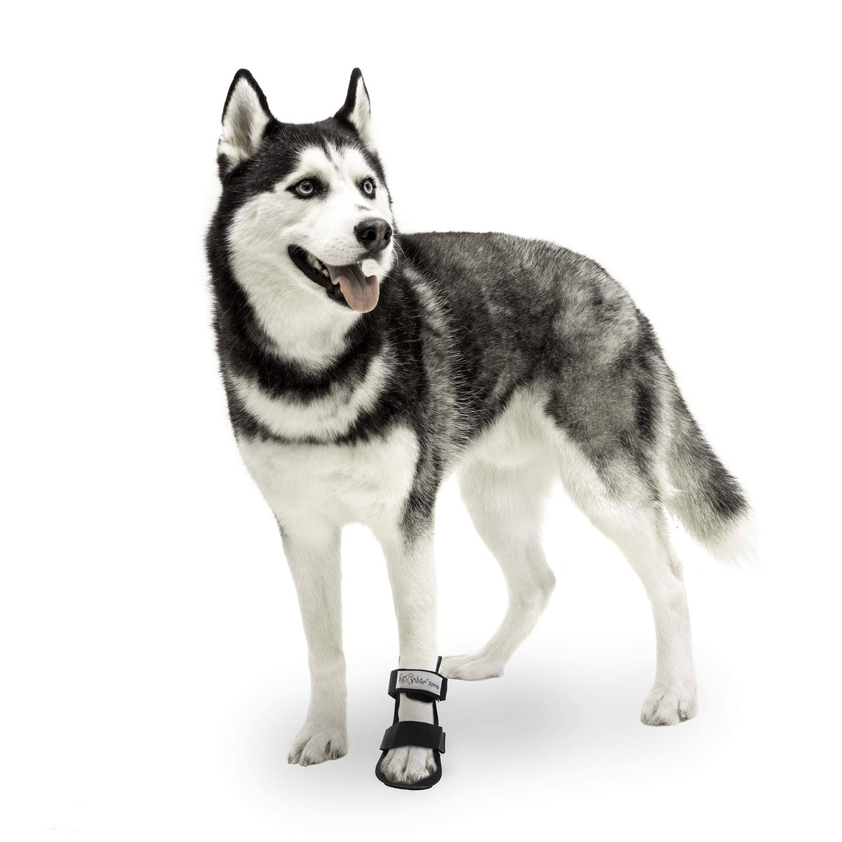 Pet Splint for Dogs Medium C463587