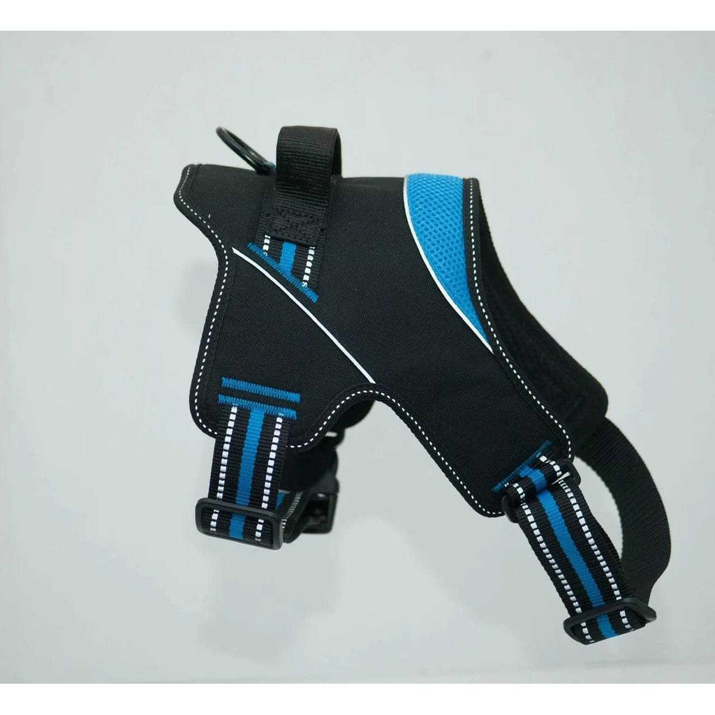 Doggy Tales Patented Hart Harness K39977