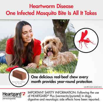 Chewables for Dogs T4207