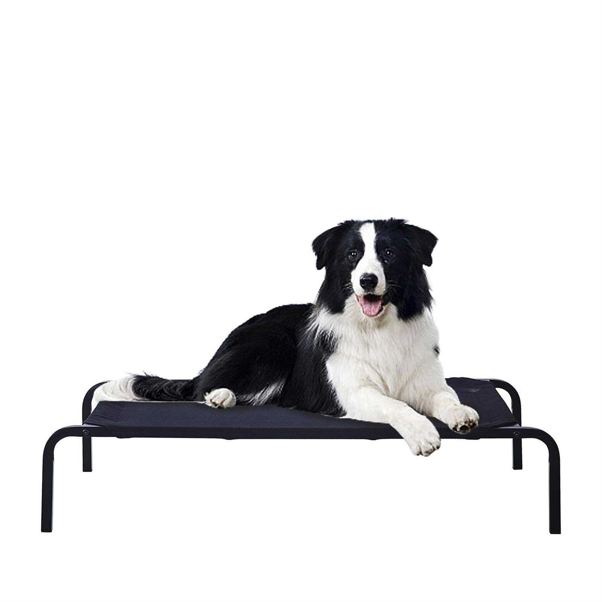 Portable Raised Cooling Steel-Framed Elevated Pet Bed N561