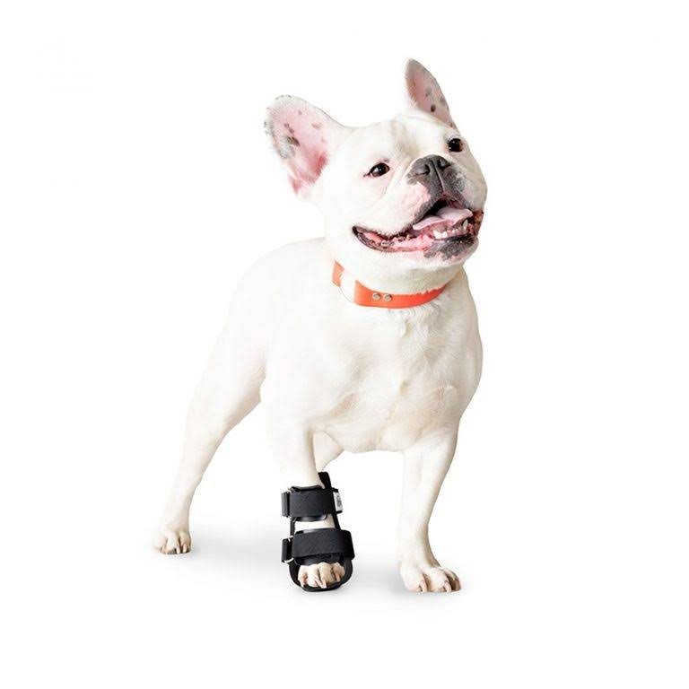 Pet Splint for Dogs Medium C463587