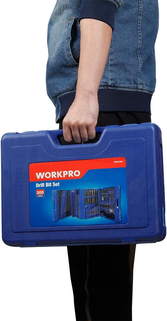 300-Piece Drill and Driver Accessory Set with Storage Case E6235