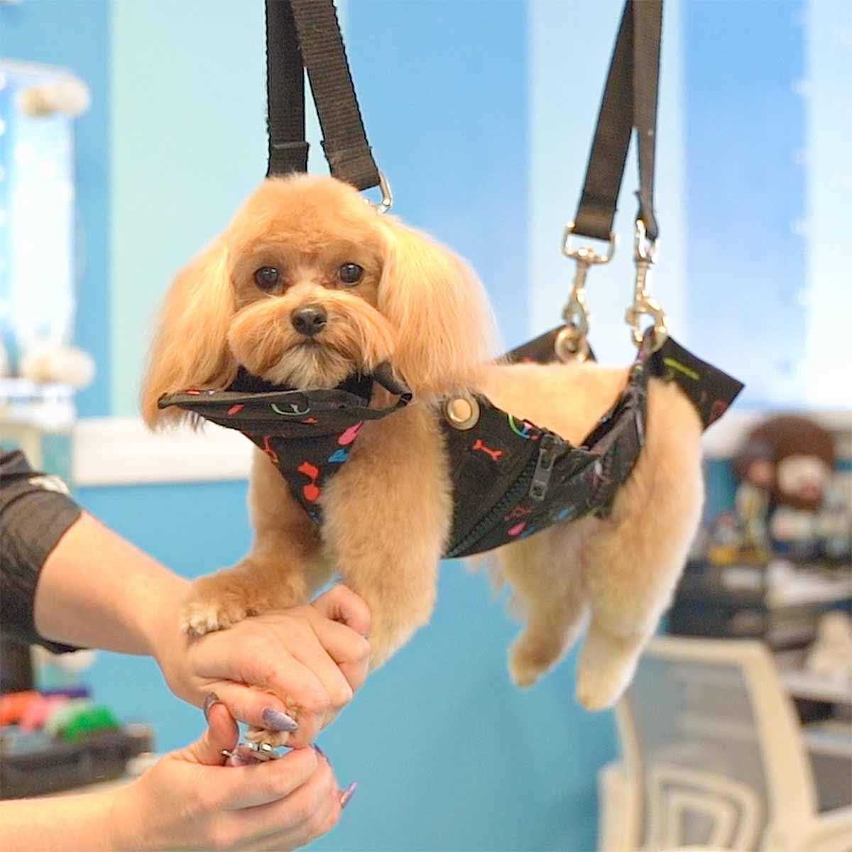 Black Pet Nail Grooming Hammock Q454