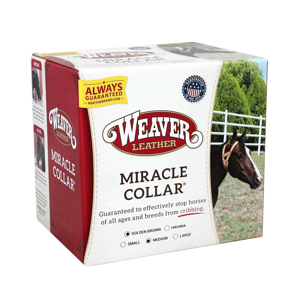 Leather Collar Q7480