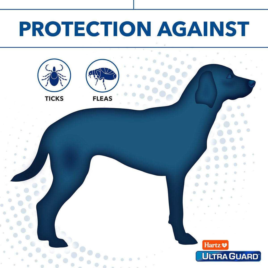 Citrus Flea & Tick Shampoo H3654
