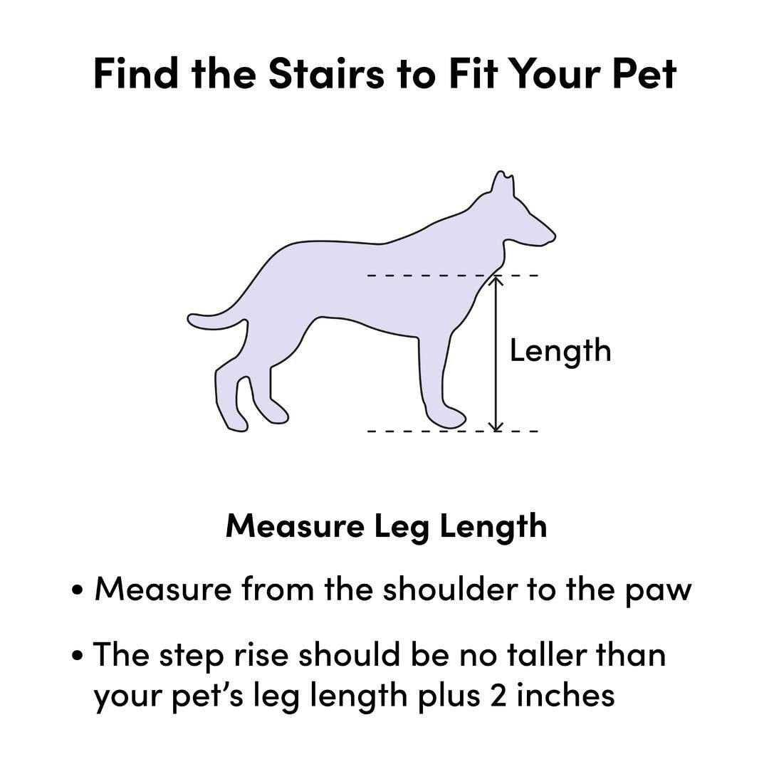 2 Step Pet Stair B65342