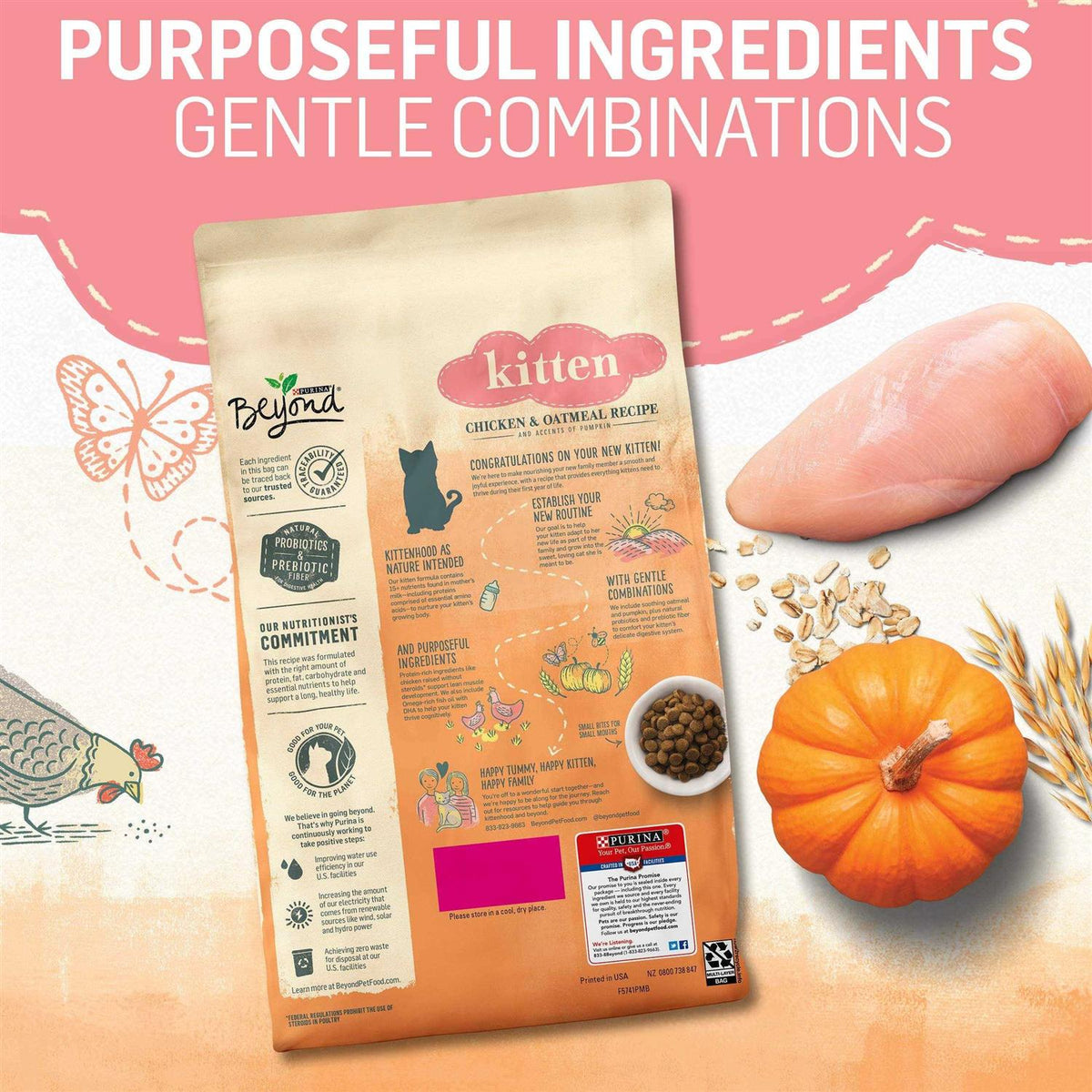 Natural Kitten Food Chicken & Oatmeal X8073