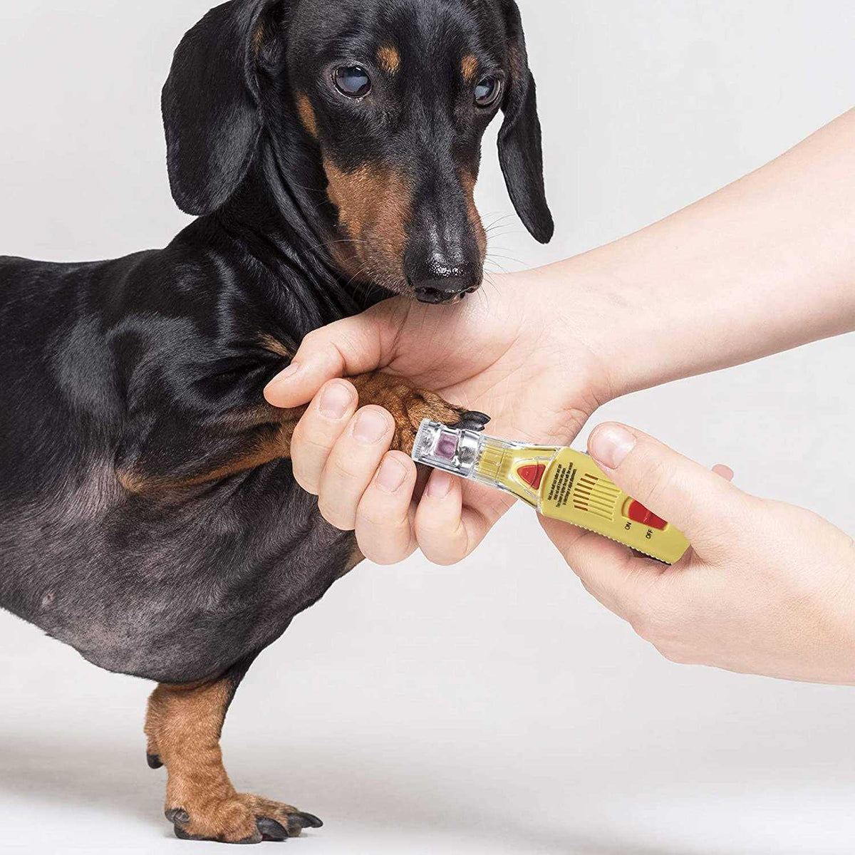 Dog Nail Grinder I843