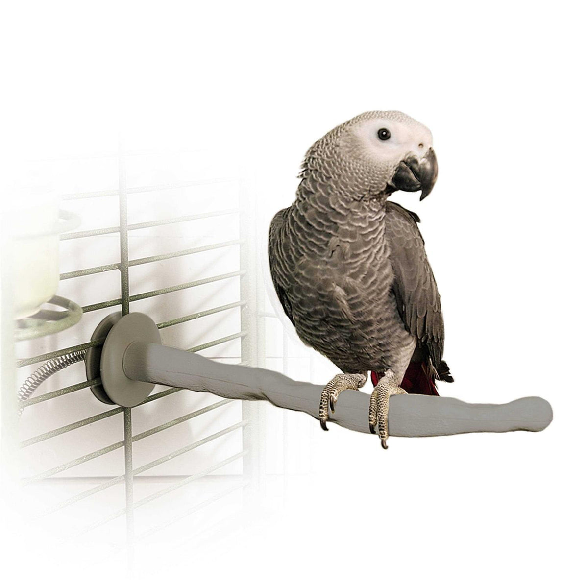 Bird Thermo-Perch Z2436