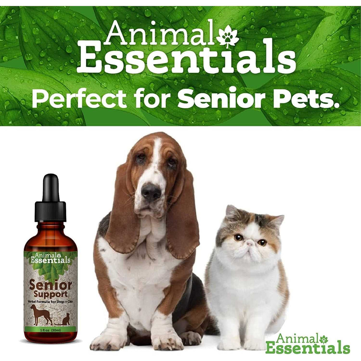 Senior Support T815703