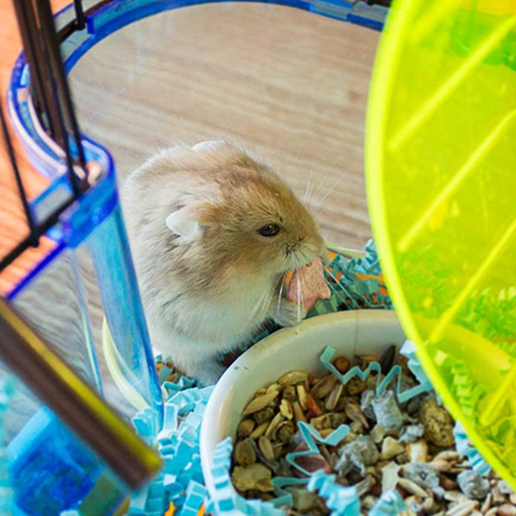 Strawberry Hamster Treats J6193