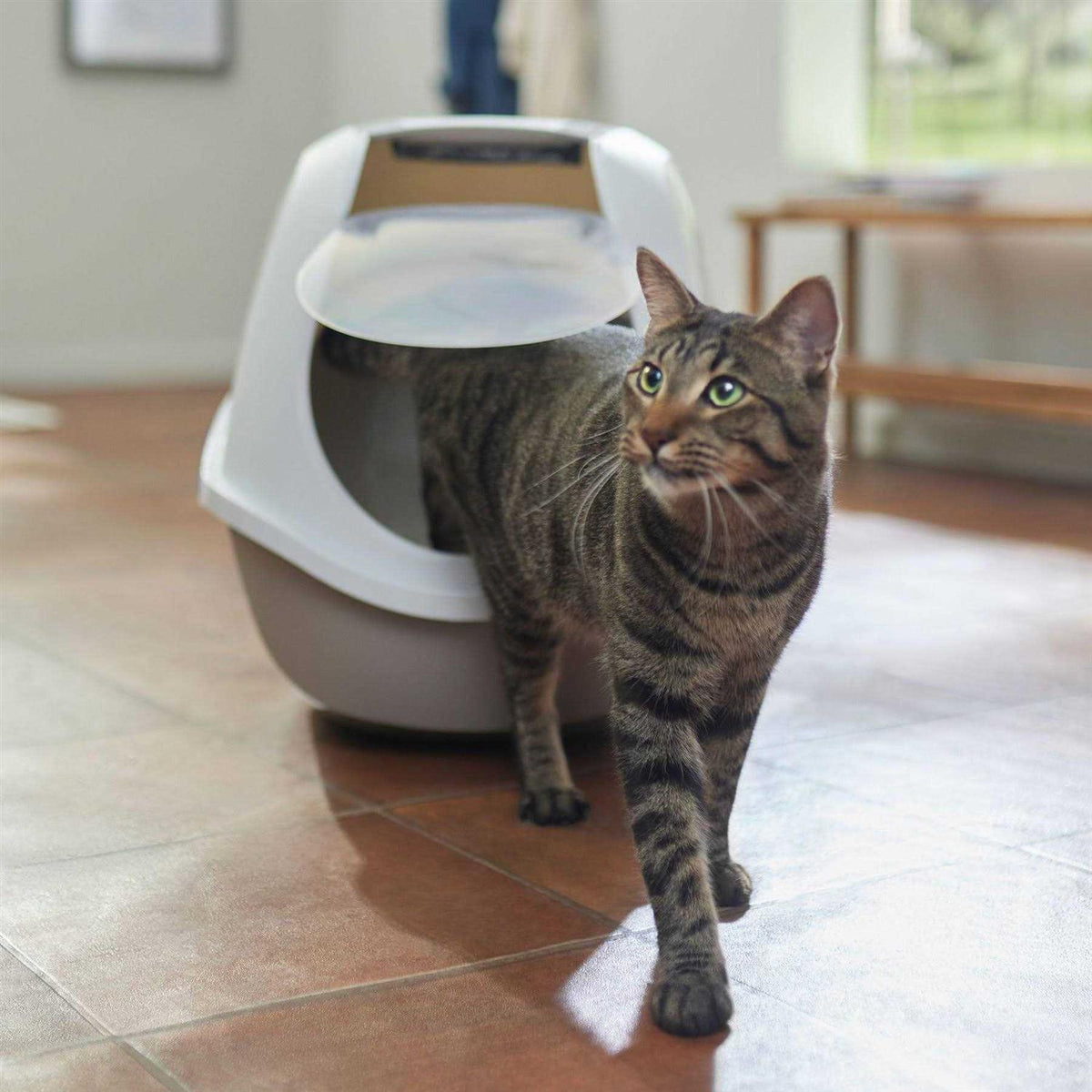 Hooded Cat Litter Box L305