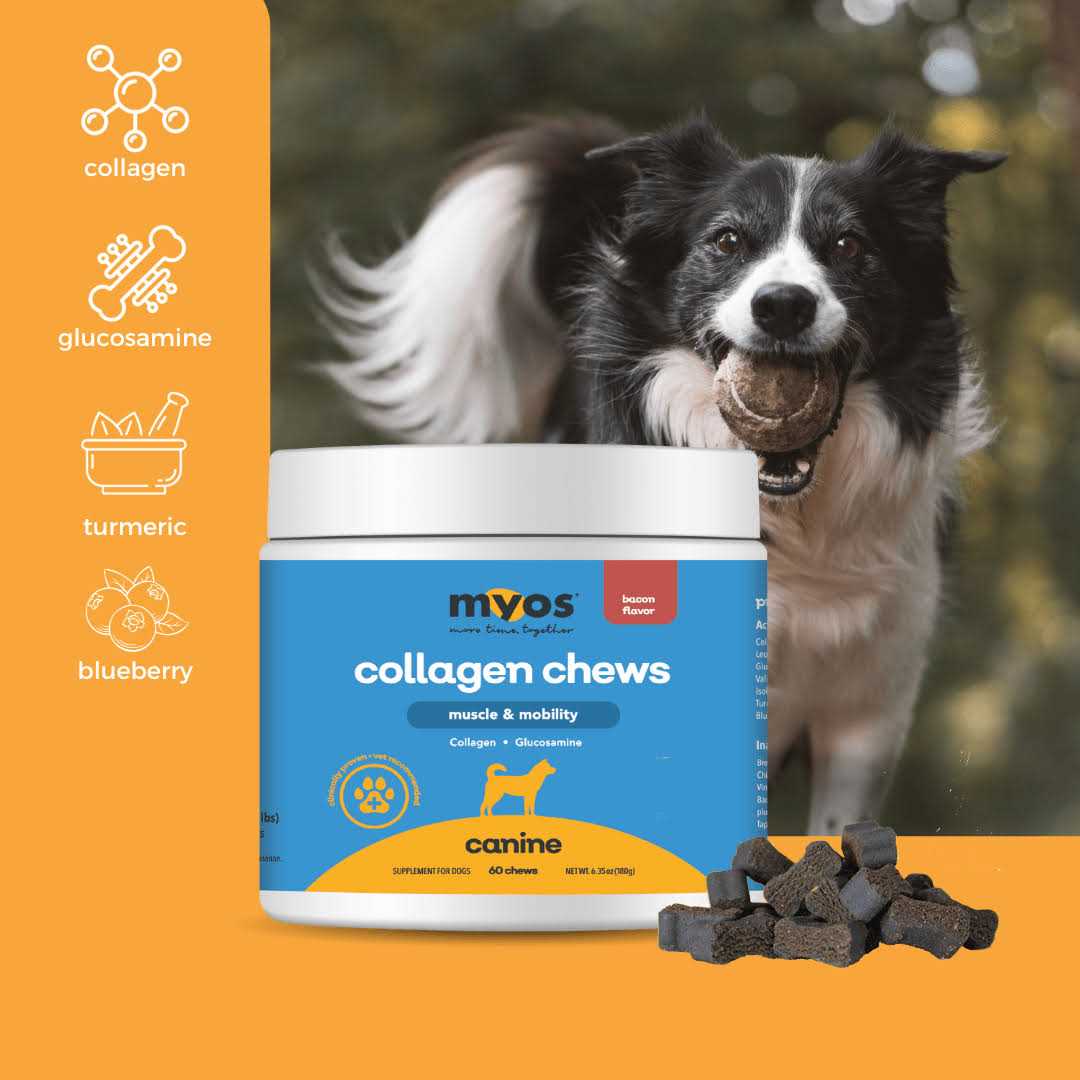 Collagen Chew for Dogs A38152