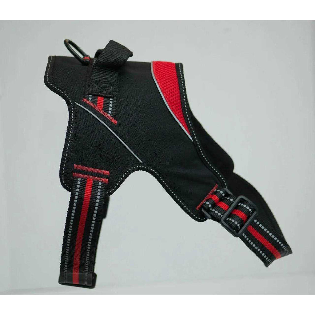 Doggy Tales Patented Hart Harness K39977