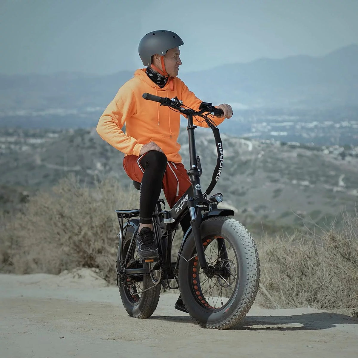Foldable 20 x 4.0 Fat Tire Electric Bike with 500W Motor Z730