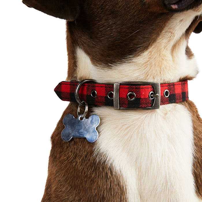 Buffalo Checkered Dog Collar Z81524
