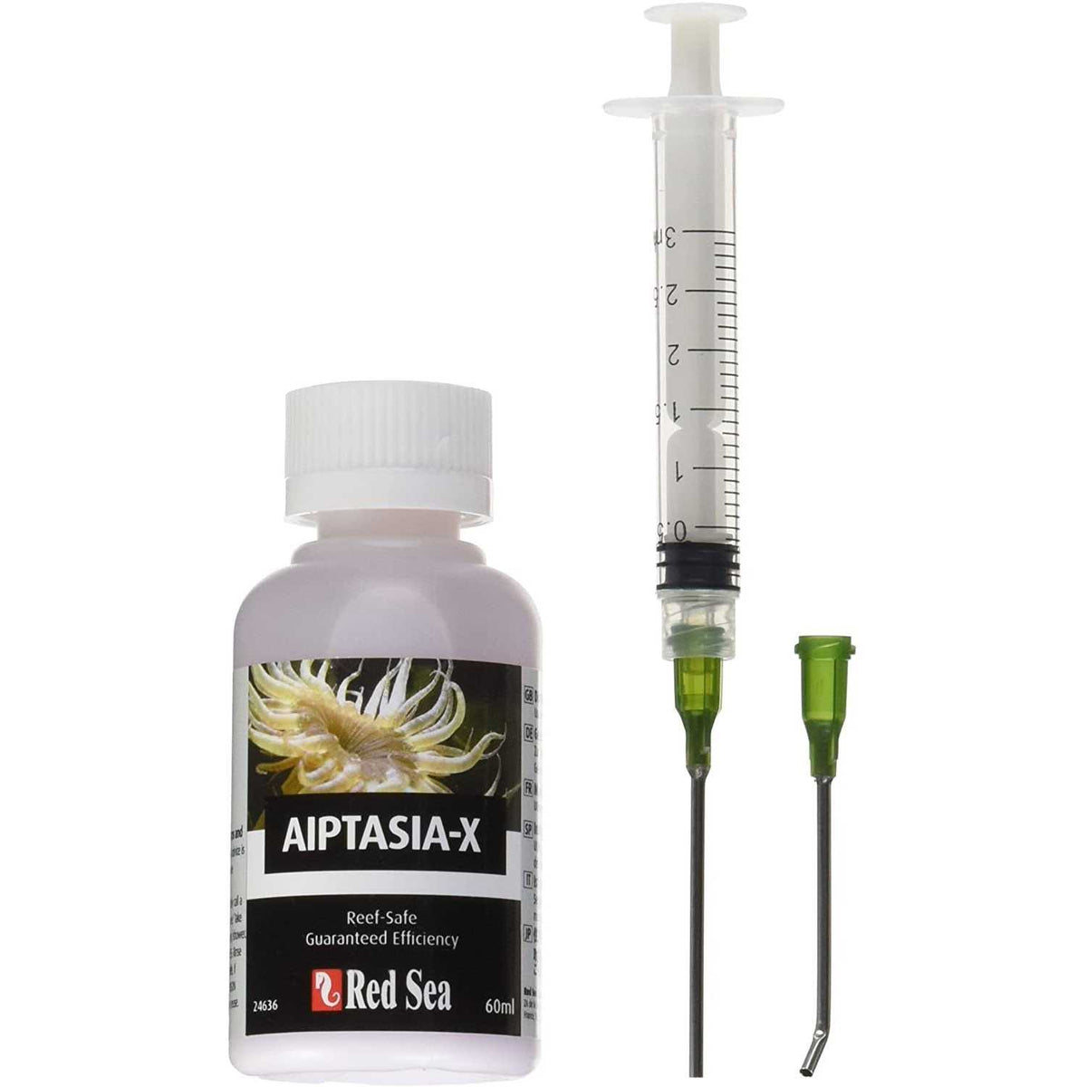 Aiptasia X H31035
