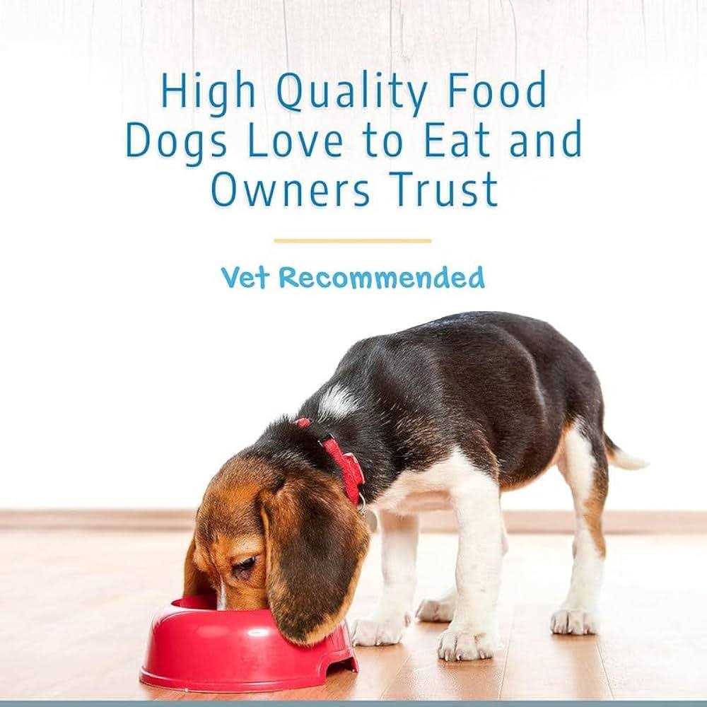 Dry Dog Food K565868