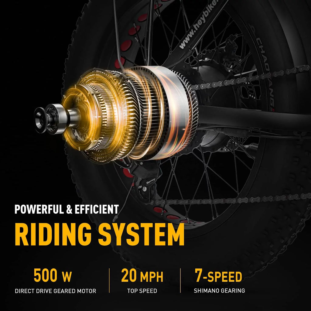 Foldable 20 x 4.0 Fat Tire Electric Bike with 500W Motor Z730