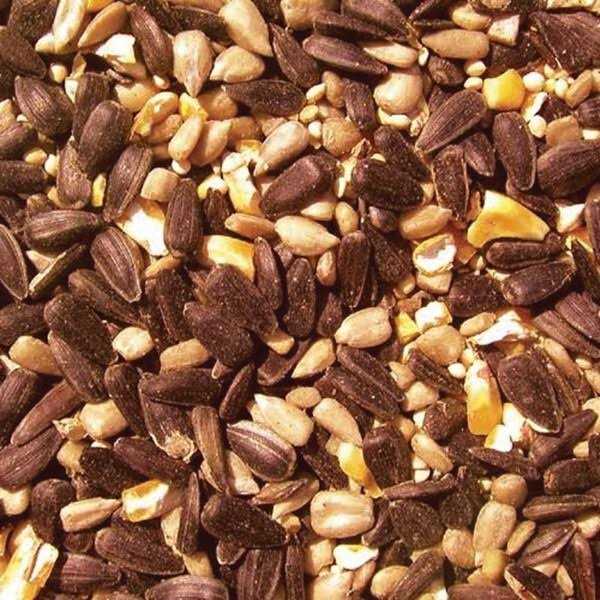 Bird Seed L914487