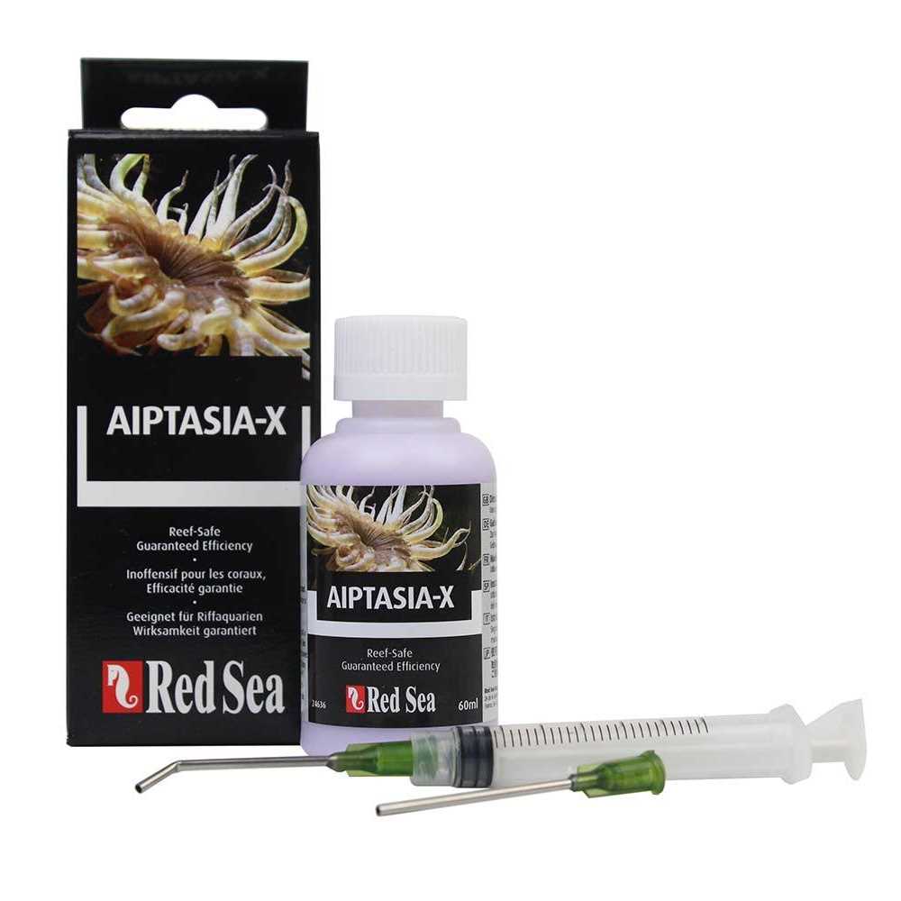 Aiptasia X H31035