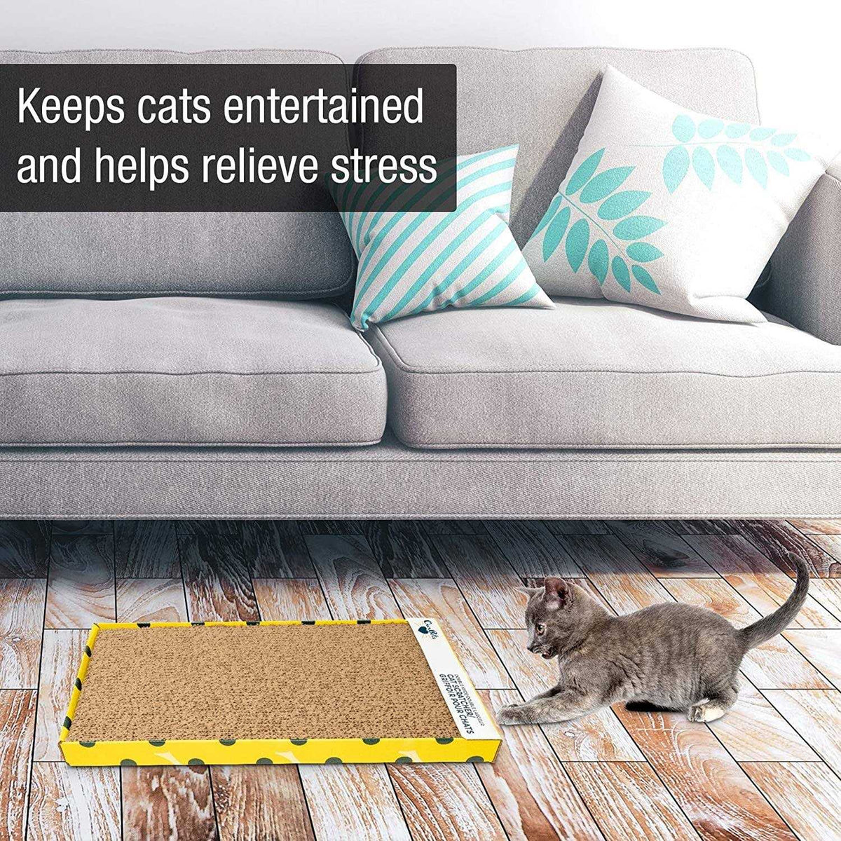 Cat Scratcher C348