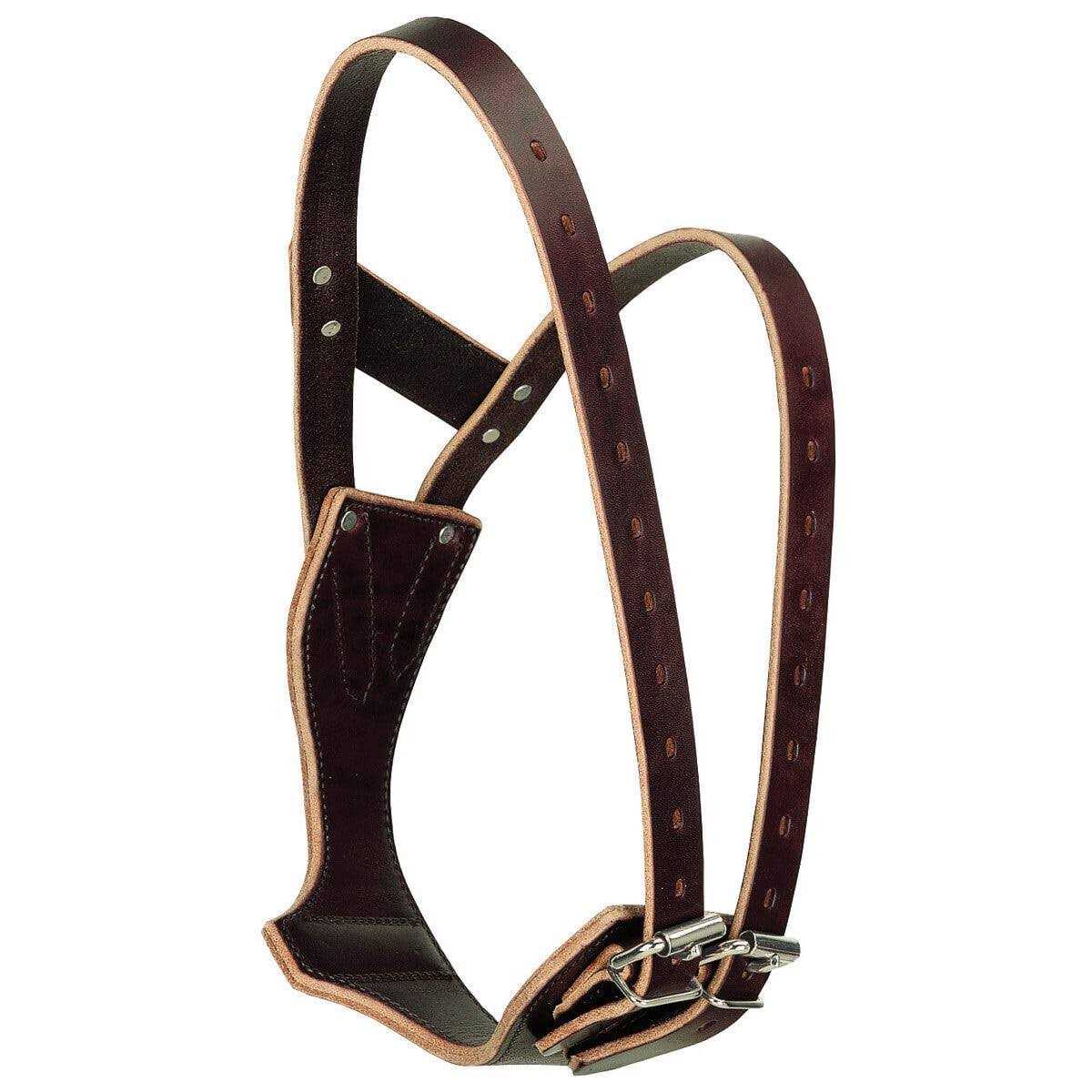 Leather Collar Q7480