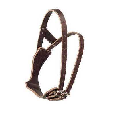 Leather Collar Q7480