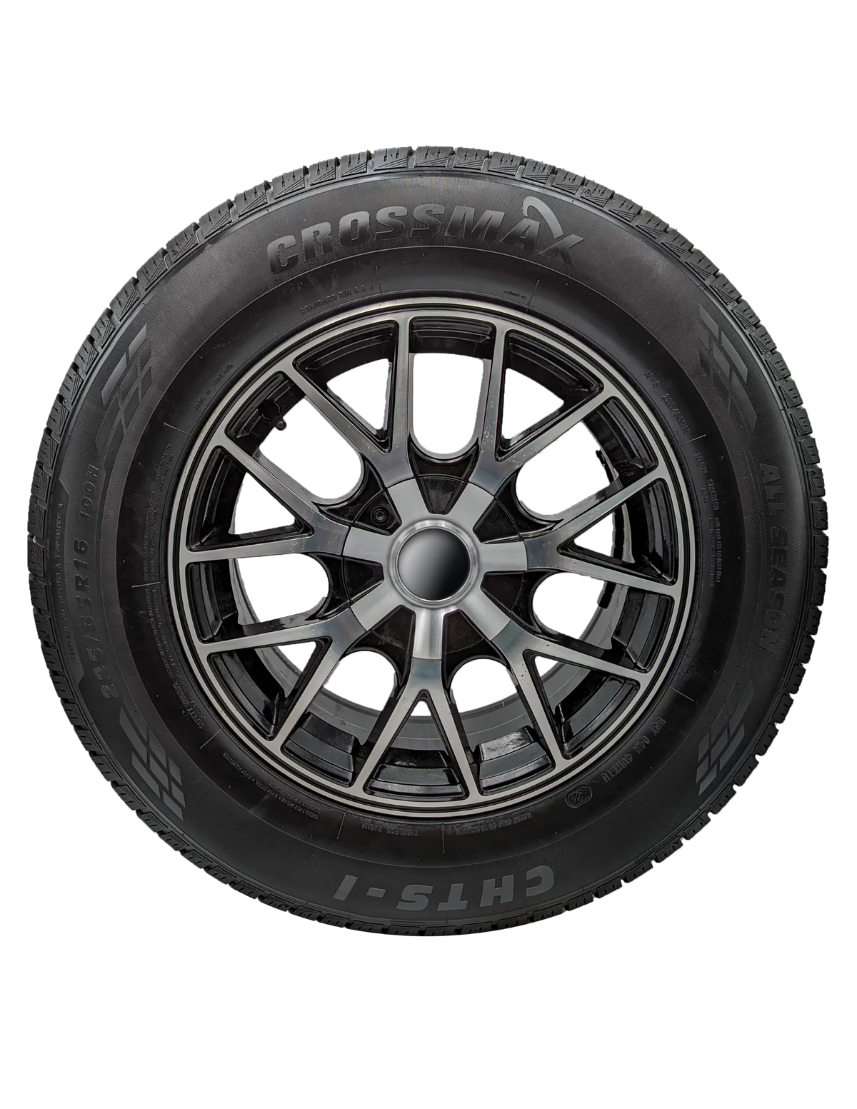 235/55R18 100V All-Season Tire L205