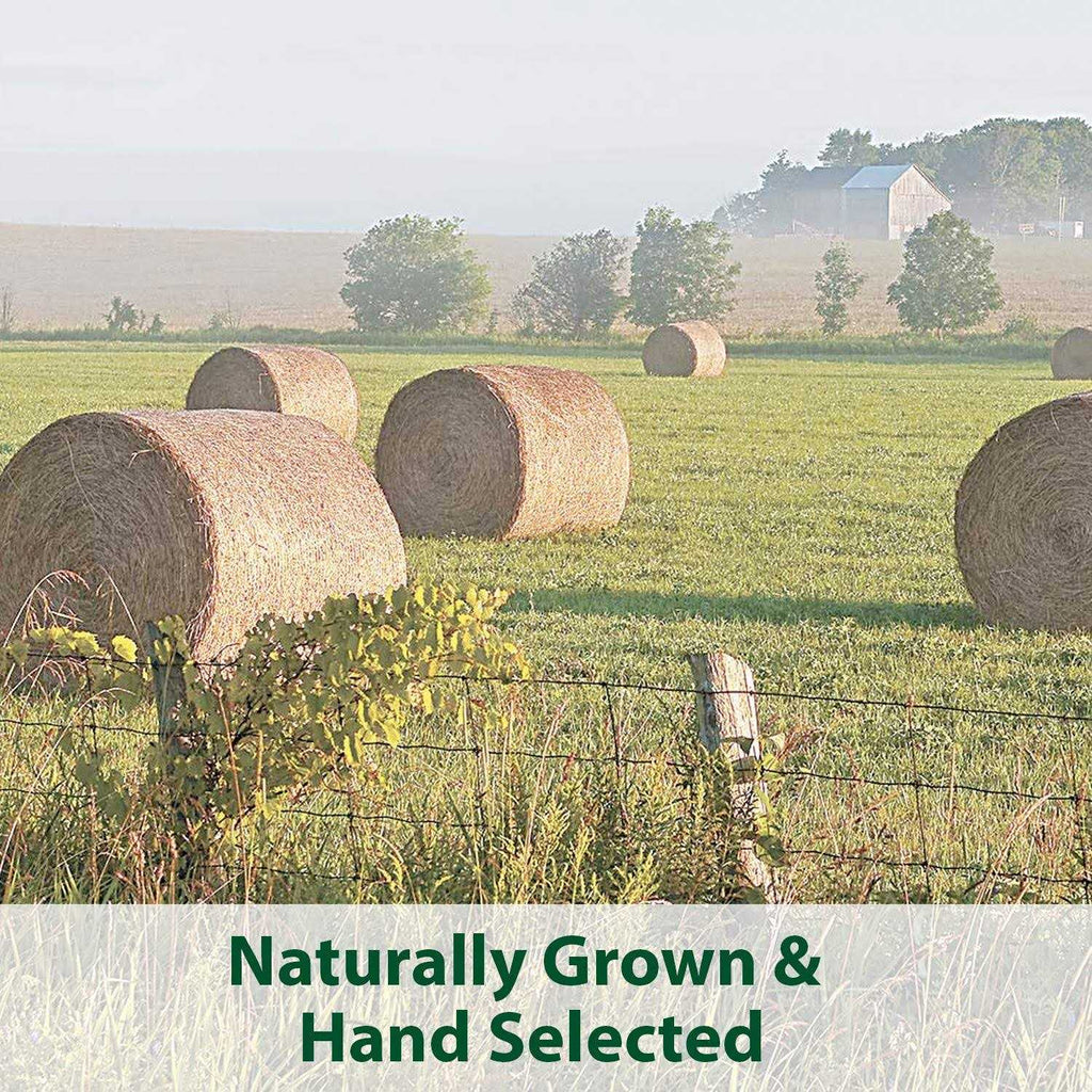 Natural Timothy Blend Cubes C8598