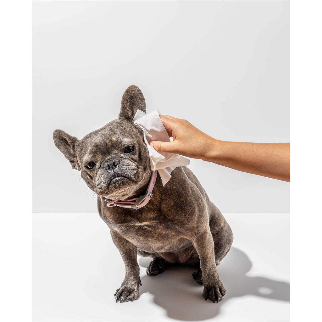 Grooming Wipes S824