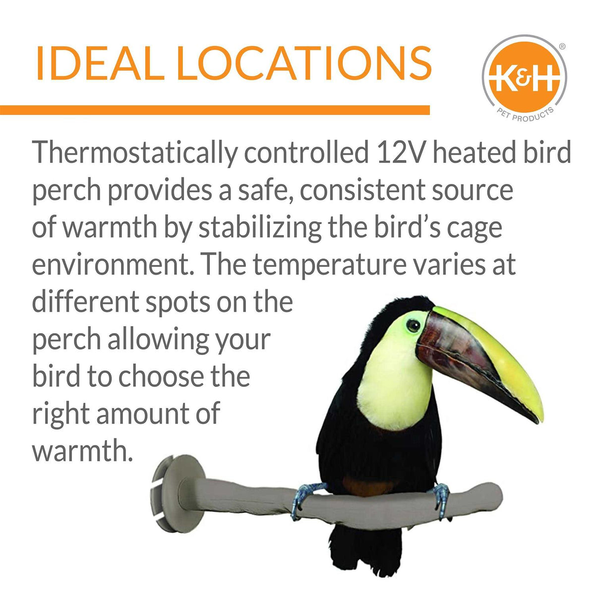 Bird Thermo-Perch Z2436