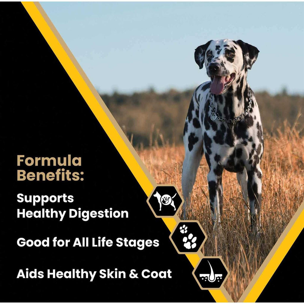Dog Food S300