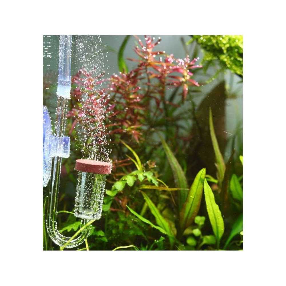 Aquario Neo CO2 C4455