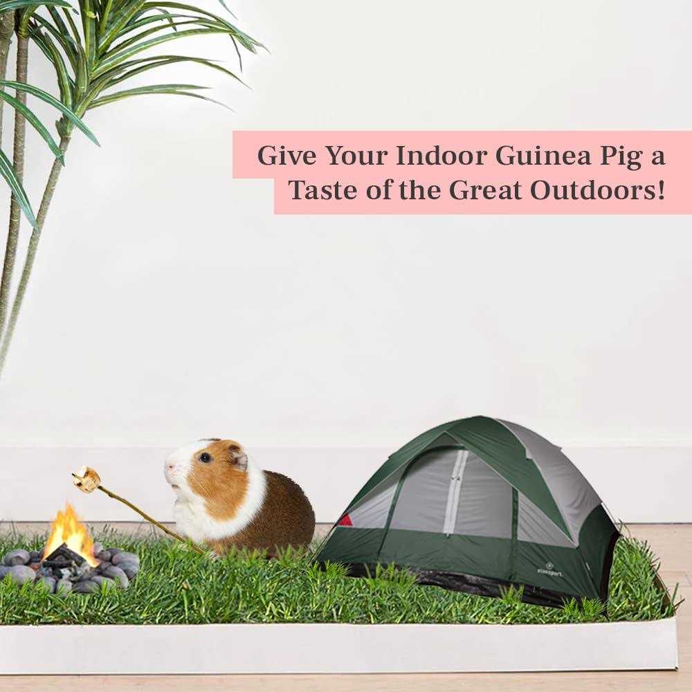 Guinea Pig Lawn J61994