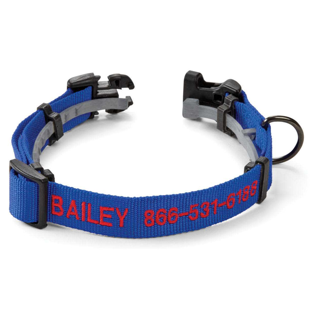 Personalized Flea and Tick Collar V97642
